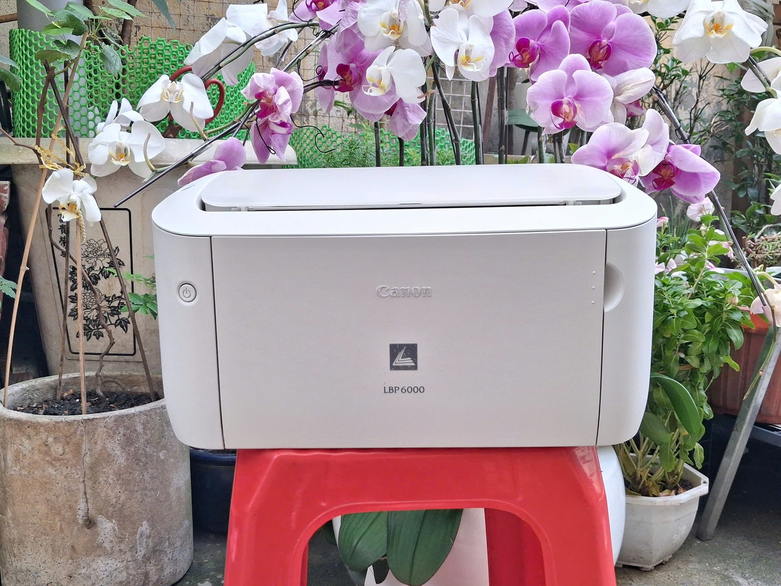 Bán máy in Canon LBP 6000 (Máy cũ)